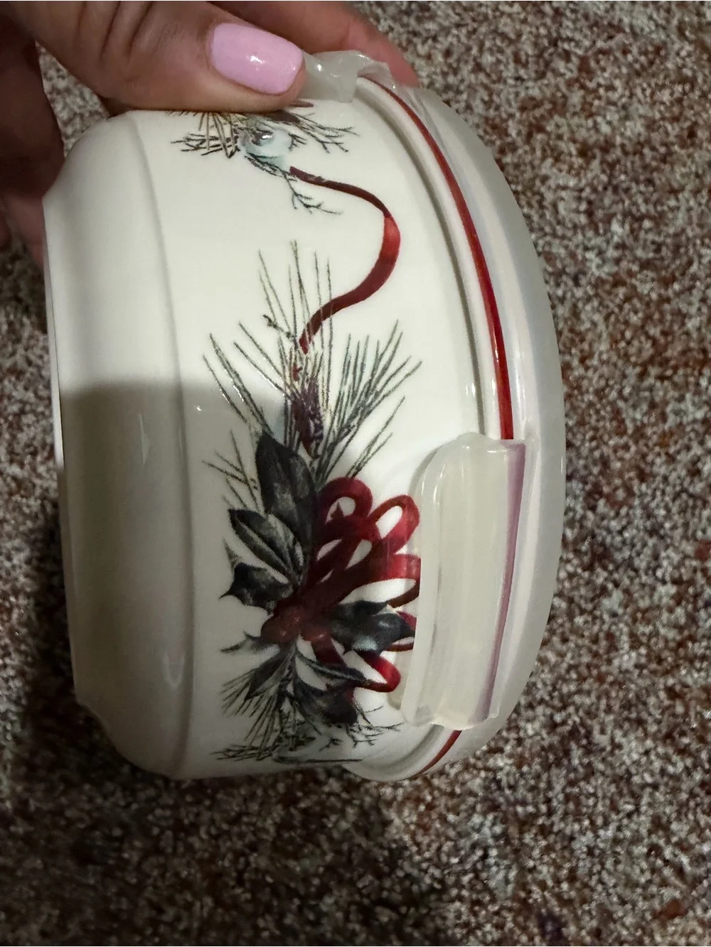Lenox Winter Greetings Red Cardinal DesignServe & Store with Locking Lid NEW